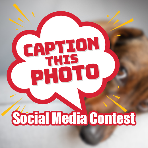 Caption This Photo Social Media Contest