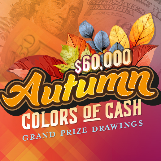 Autumn Colors of Cash