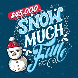 Snow Much Fun