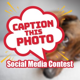 Caption This Photo Social Media Contest